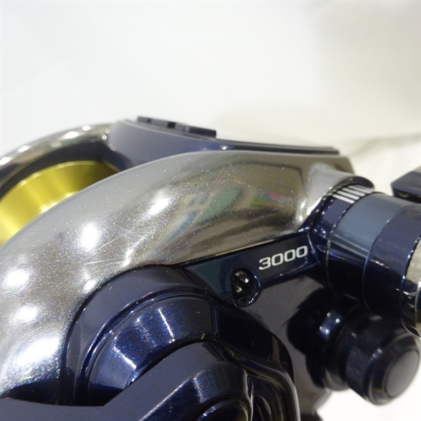 １３ビーストマスター３０００